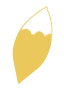 きつねのしっぽ